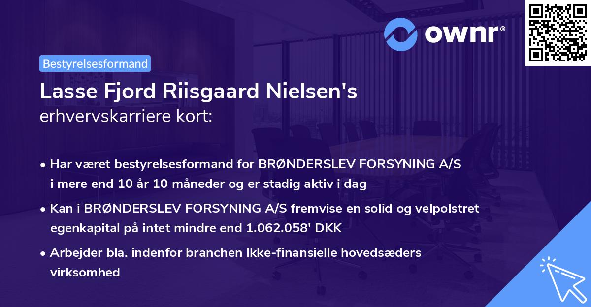 Lasse Fjord Riisgaard Nielsen's erhvervskarriere kort