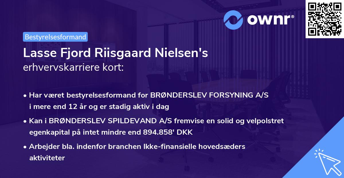 Lasse Fjord Riisgaard Nielsen's erhvervskarriere kort