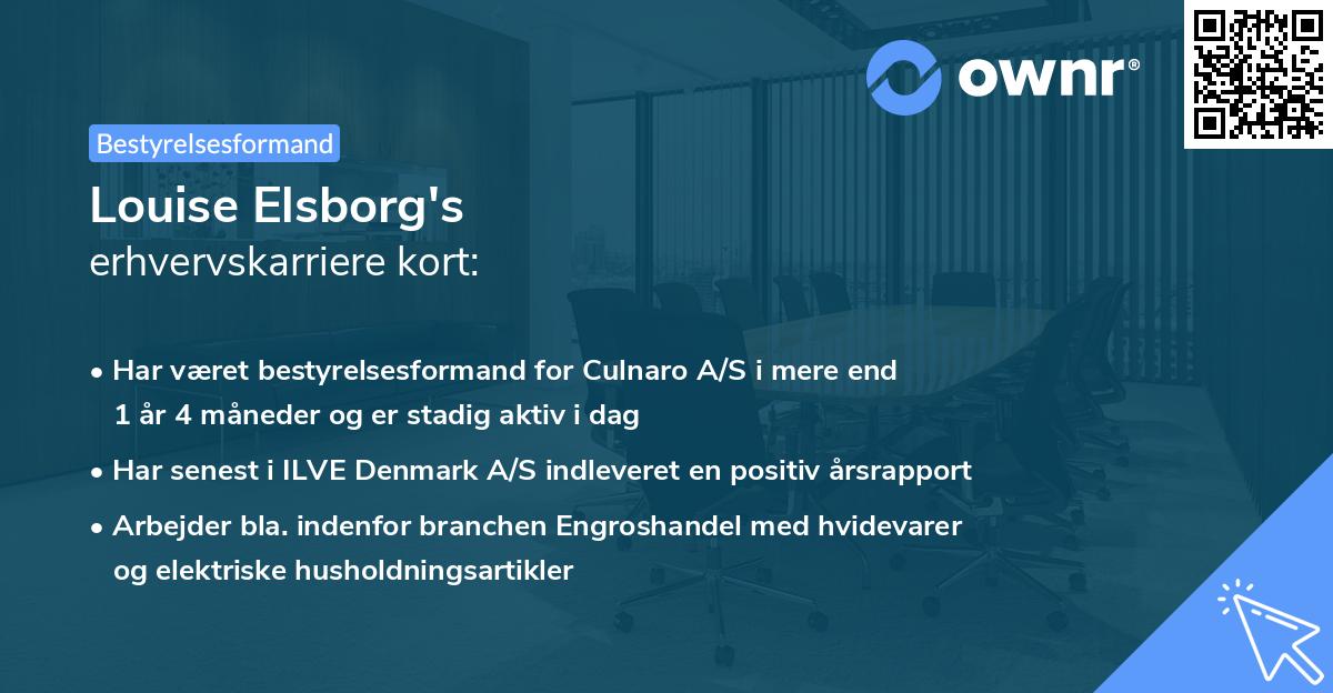 Louise Elsborg's erhvervskarriere kort