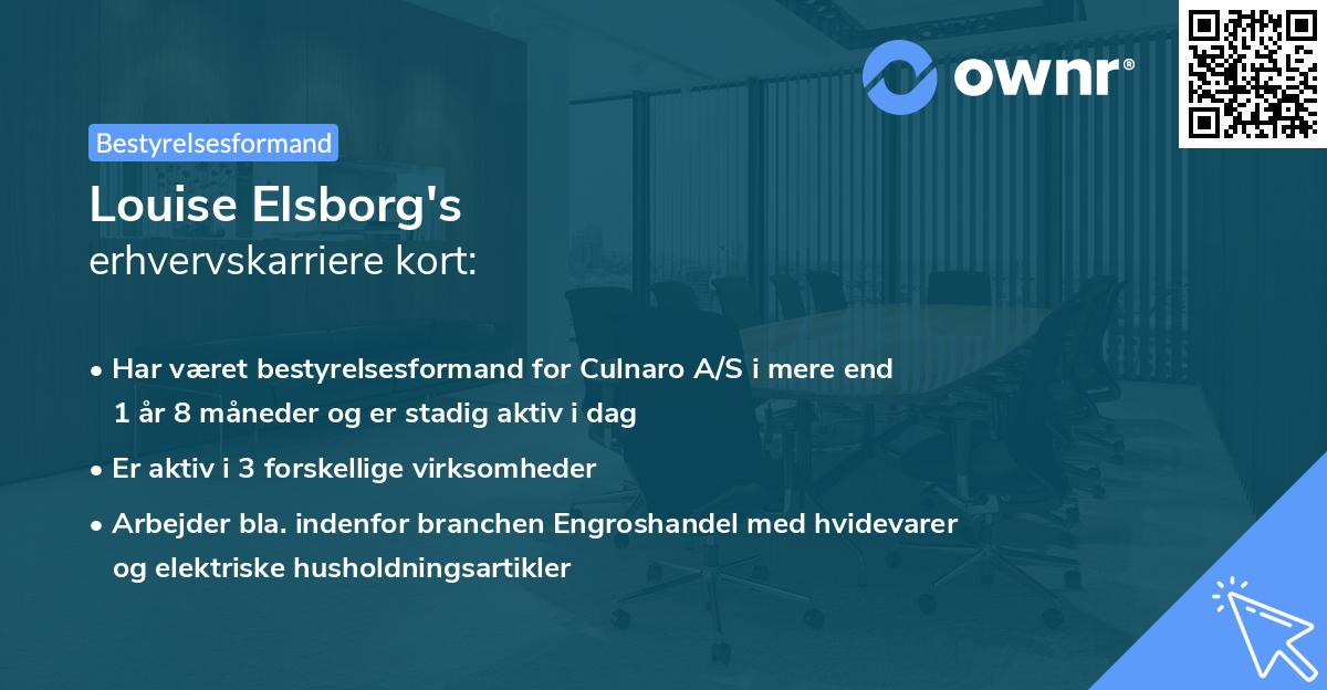 Louise Elsborg's erhvervskarriere kort