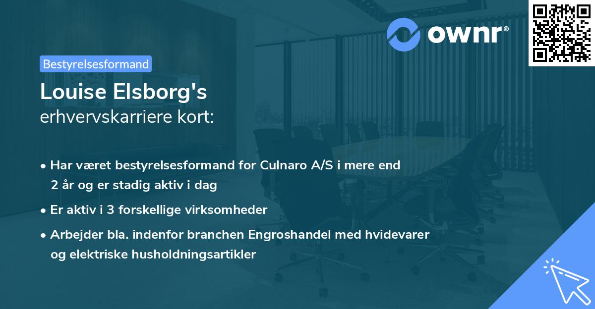 Louise Elsborg's erhvervskarriere kort