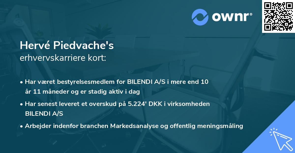 Hervé Piedvache's erhvervskarriere kort