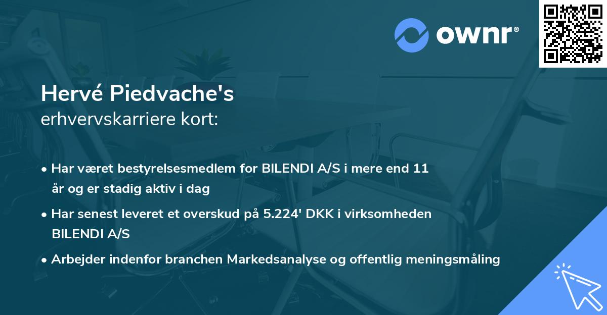 Hervé Piedvache's erhvervskarriere kort