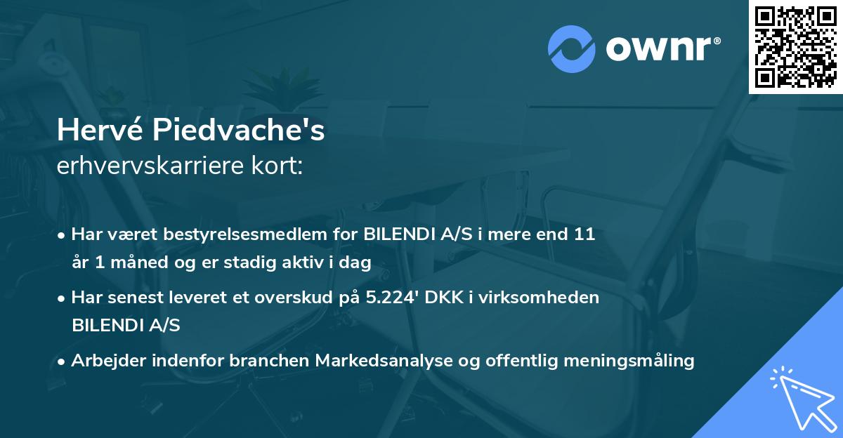 Hervé Piedvache's erhvervskarriere kort