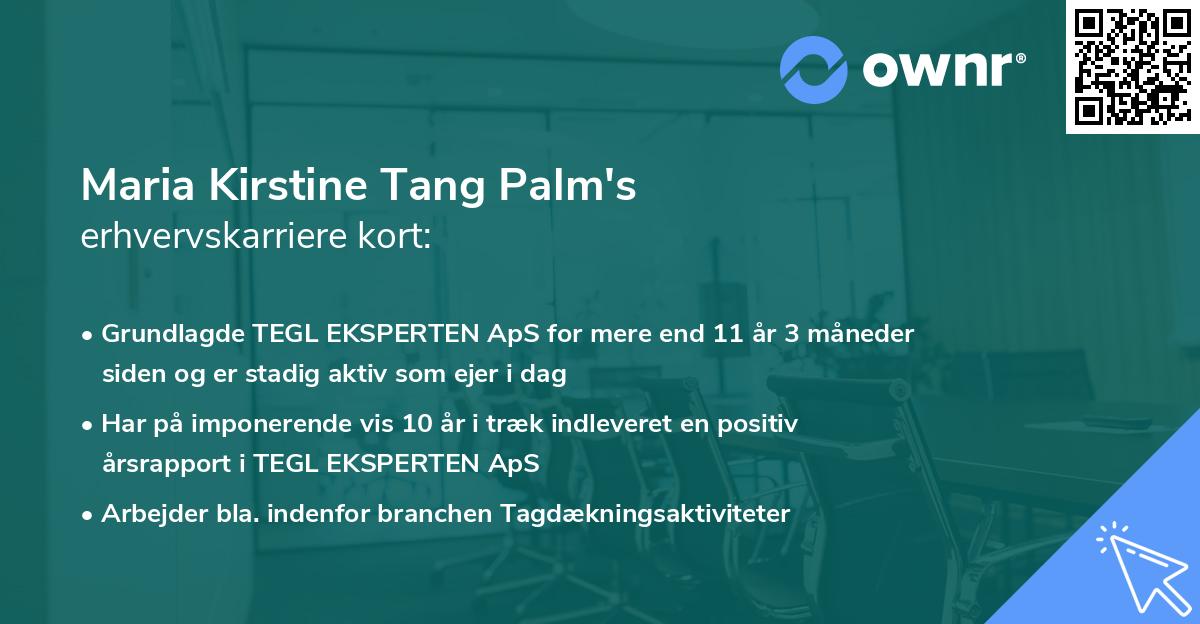 Maria Kirstine Tang Palm's erhvervskarriere kort