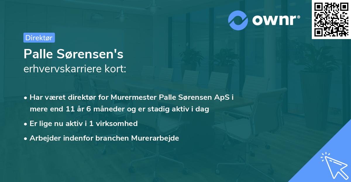 Palle Sørensen's erhvervskarriere kort