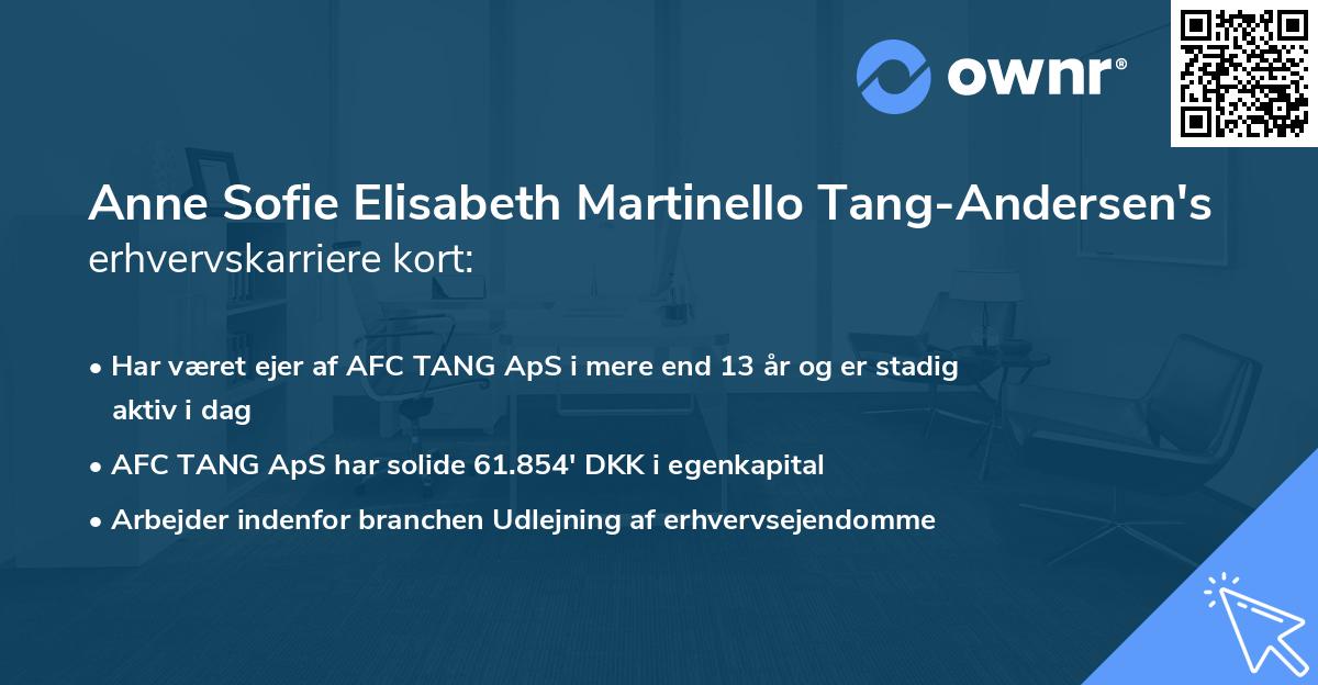 Anne Sofie Elisabeth Martinello Tang-Andersen's erhvervskarriere kort