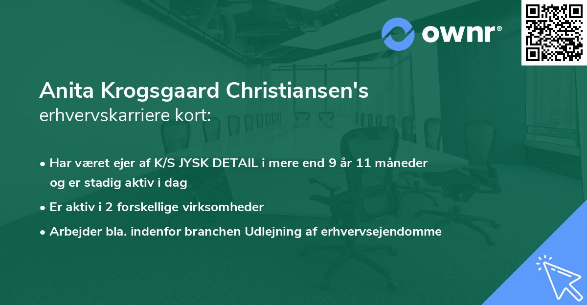 Anita Krogsgaard Christiansen's erhvervskarriere kort