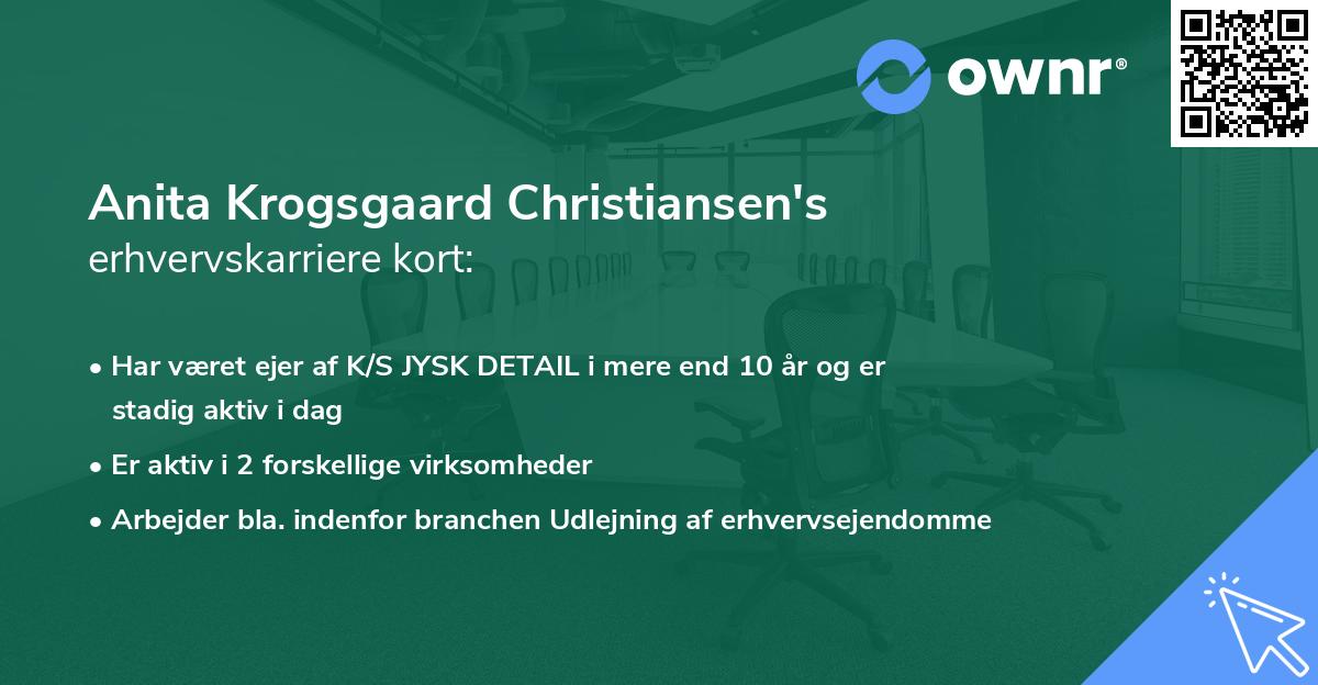 Anita Krogsgaard Christiansen's erhvervskarriere kort