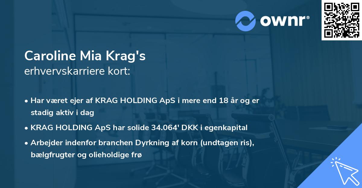 Caroline Mia Krag's erhvervskarriere kort