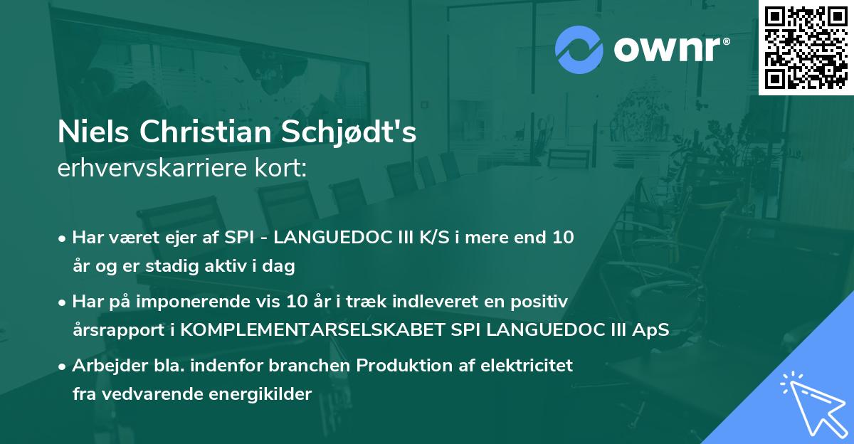 Niels Christian Schjødt's erhvervskarriere kort