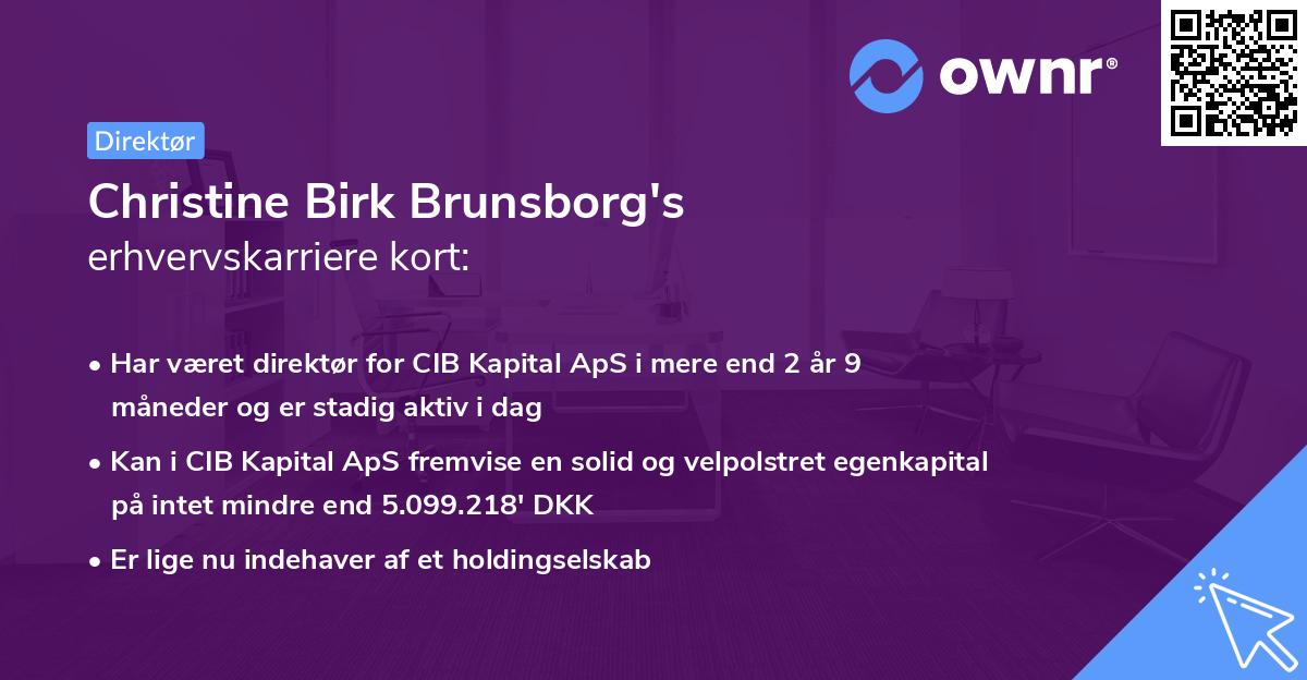 Christine Birk Brunsborg's erhvervskarriere kort