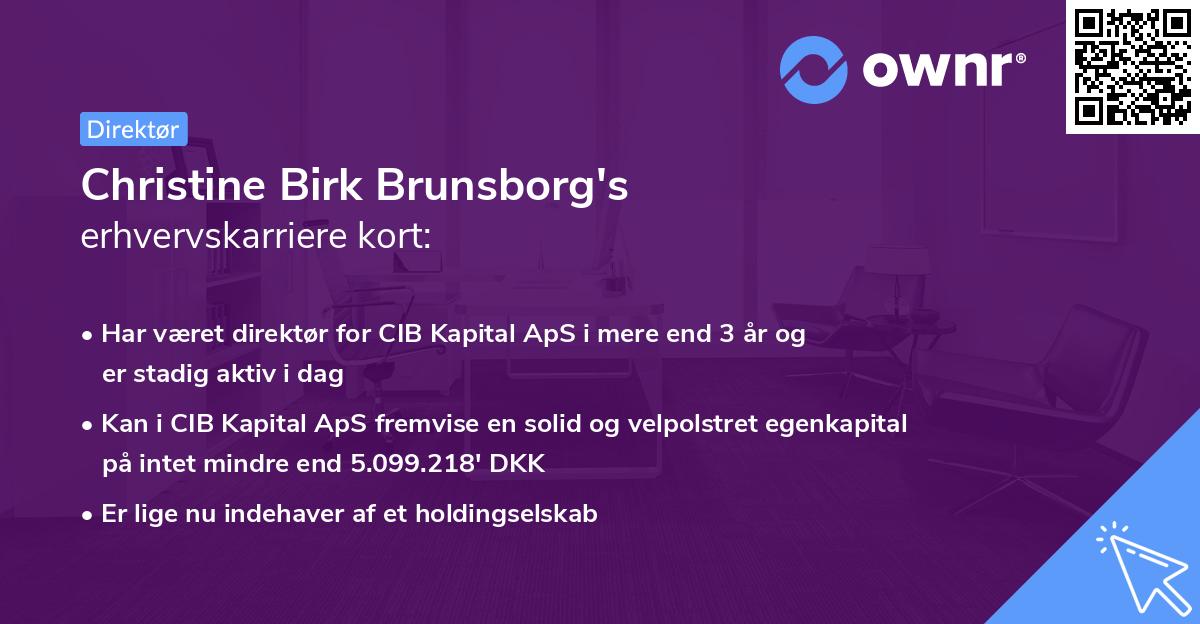 Christine Birk Brunsborg's erhvervskarriere kort