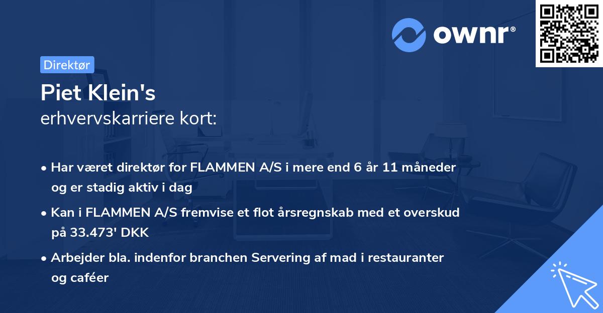 Piet Klein's erhvervskarriere kort