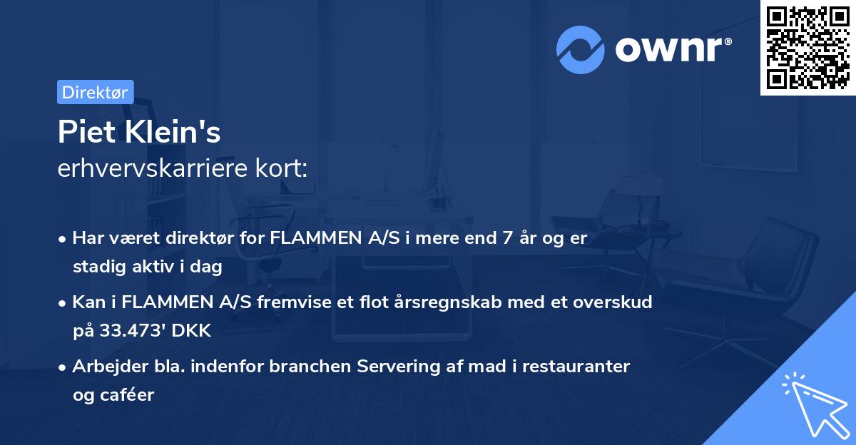 Piet Klein's erhvervskarriere kort