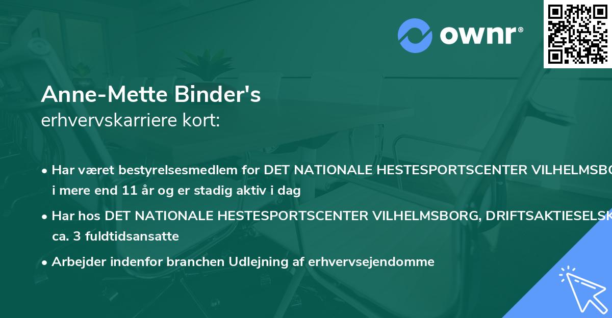 Anne-Mette Binder's erhvervskarriere kort