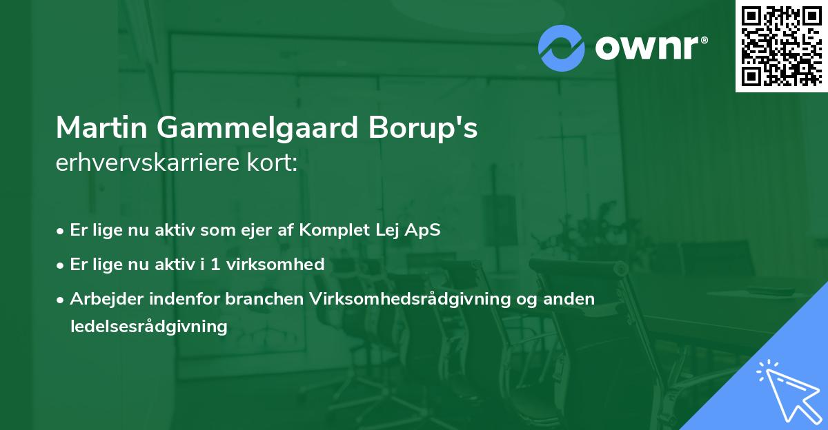 Martin Gammelgaard Borup's erhvervskarriere kort