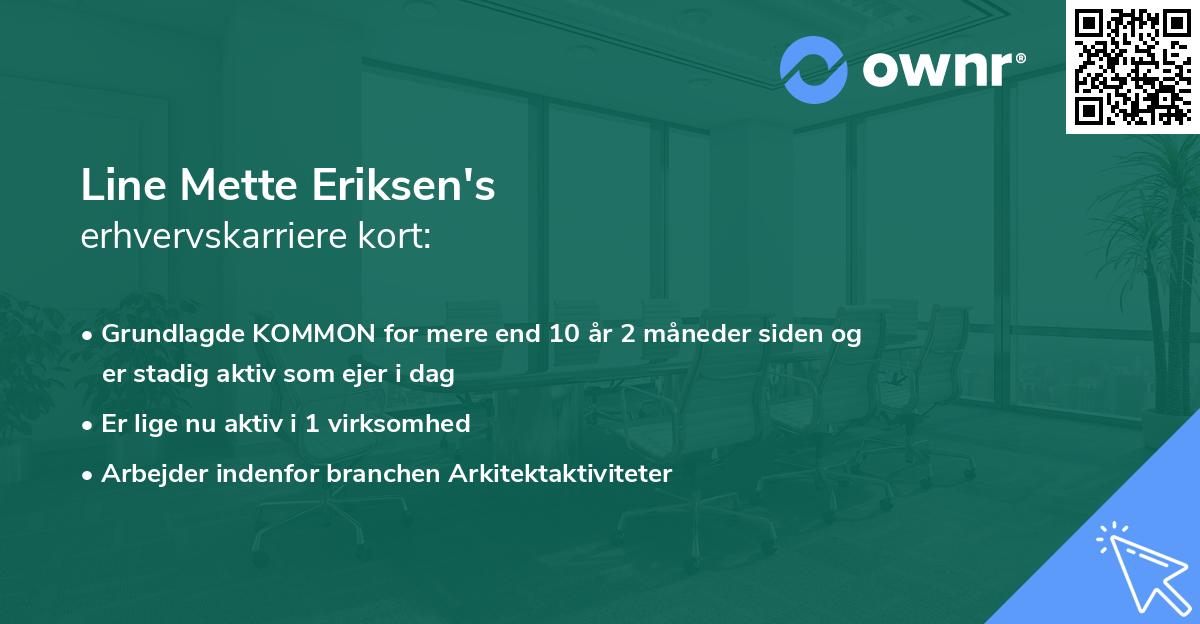 Line Mette Eriksen's erhvervskarriere kort
