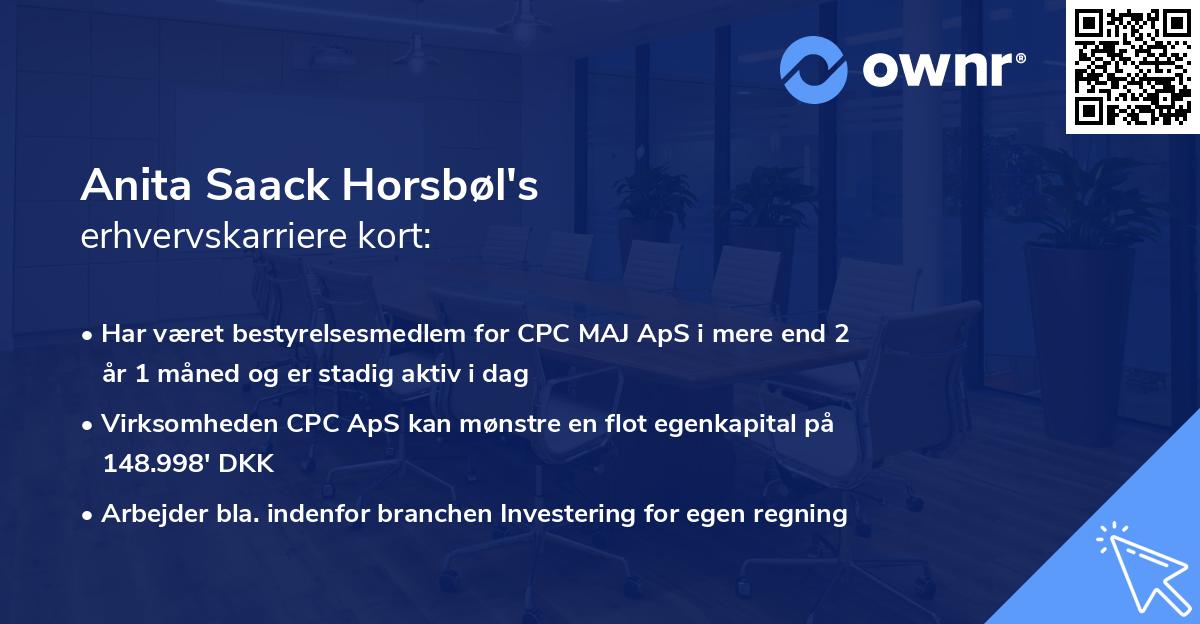 Anita Saack Horsbøl's erhvervskarriere kort