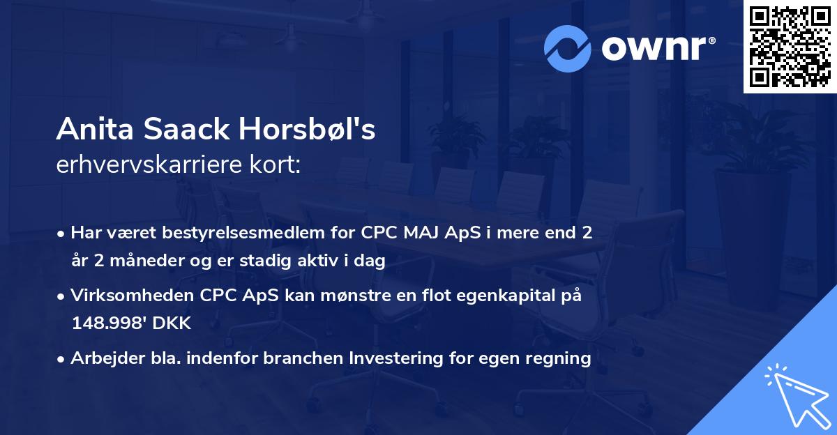 Anita Saack Horsbøl's erhvervskarriere kort