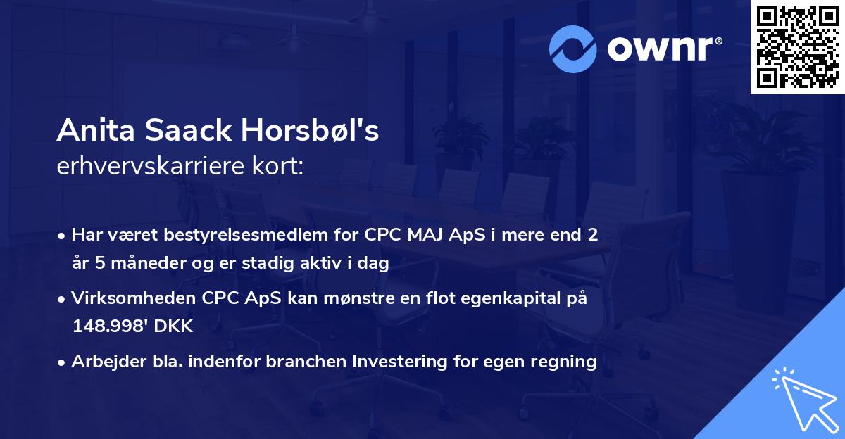Anita Saack Horsbøl's erhvervskarriere kort