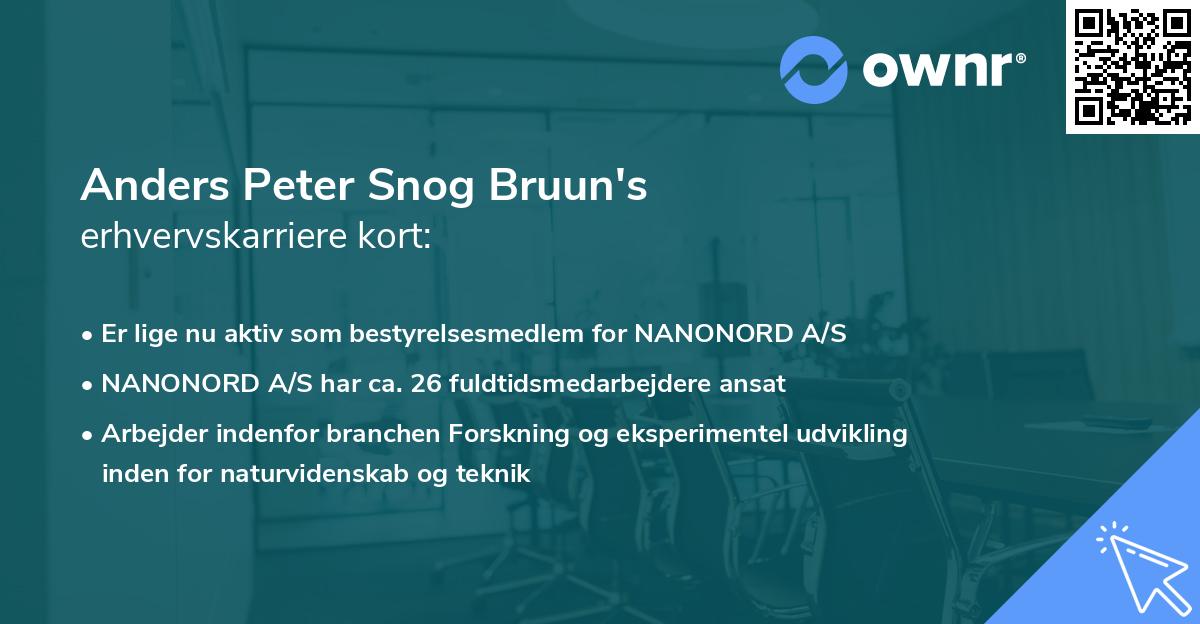 Anders Peter Snog Bruun's erhvervskarriere kort