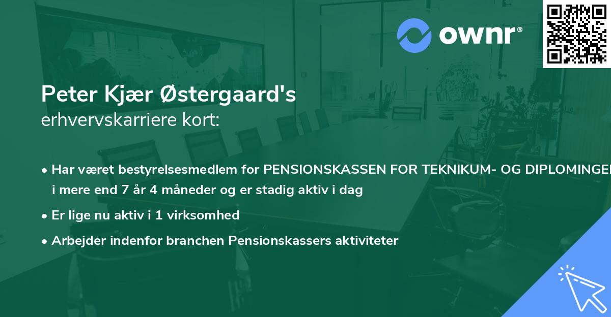 Peter Kjær Østergaard's erhvervskarriere kort