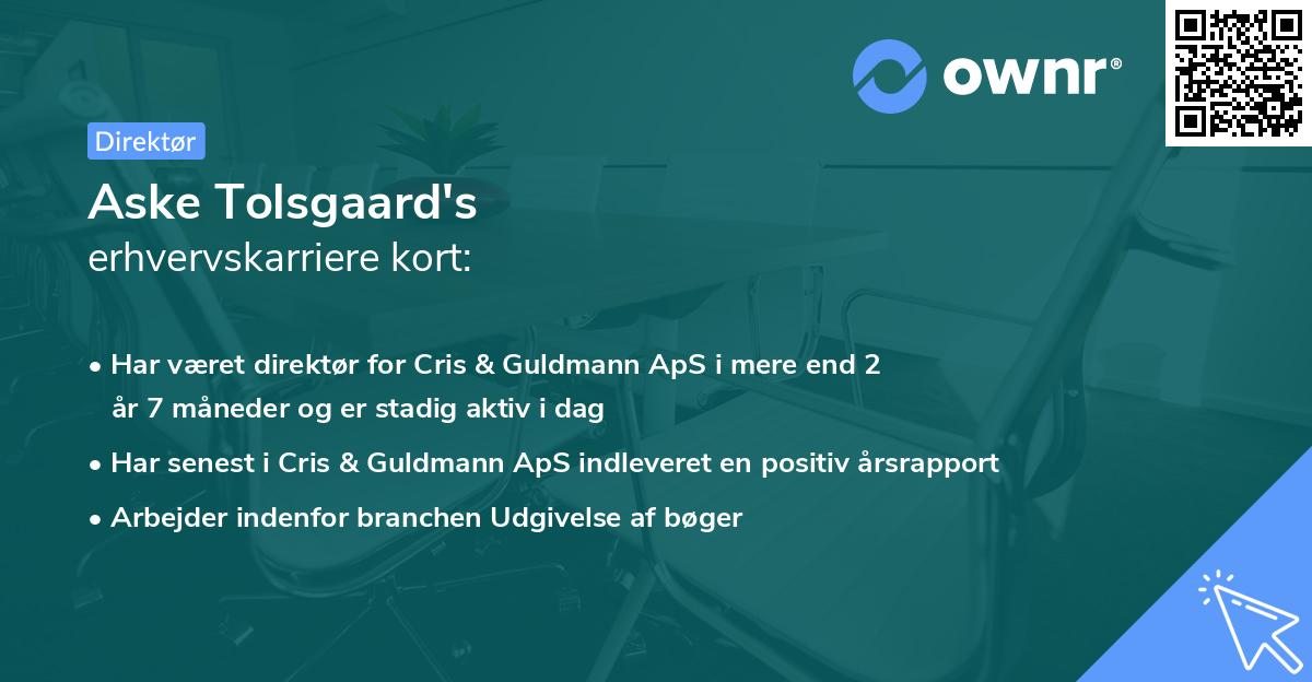 Aske Tolsgaard's erhvervskarriere kort