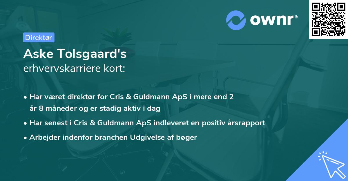Aske Tolsgaard's erhvervskarriere kort