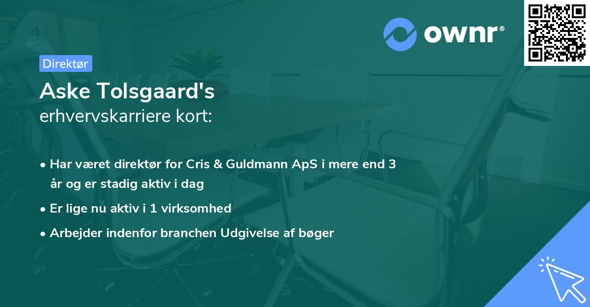 Aske Tolsgaard's erhvervskarriere kort