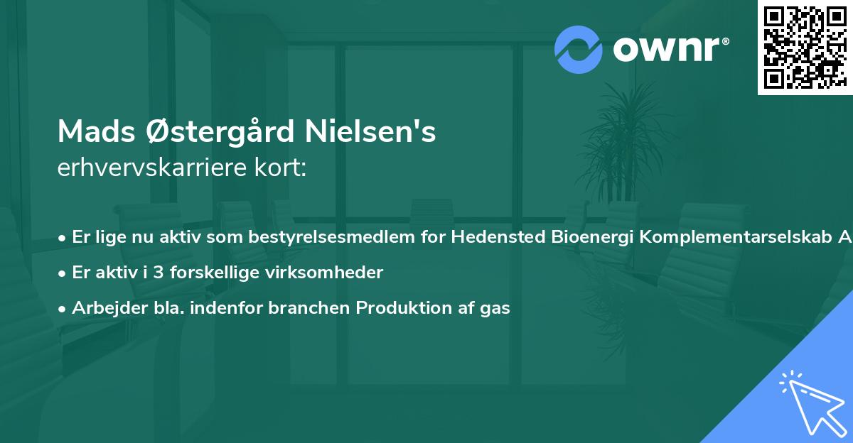 Mads Østergård Nielsen's erhvervskarriere kort