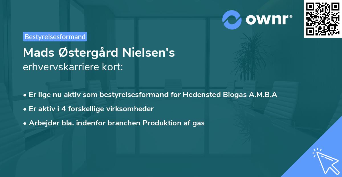 Mads Østergård Nielsen's erhvervskarriere kort