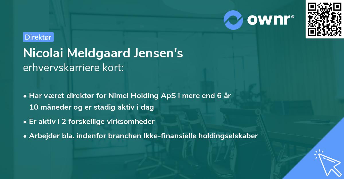 Nicolai Meldgaard Jensen's erhvervskarriere kort