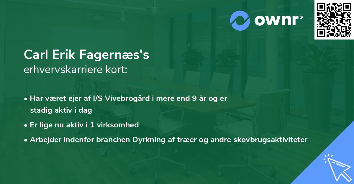 Carl Erik Fagernæs's erhvervskarriere kort