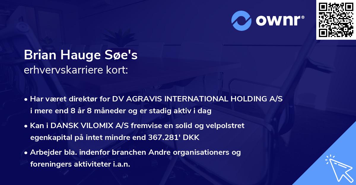 Brian Hauge Søe's erhvervskarriere kort
