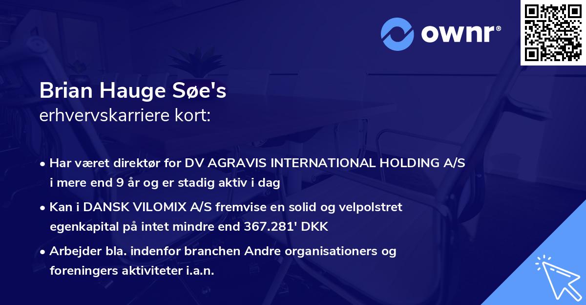 Brian Hauge Søe's erhvervskarriere kort