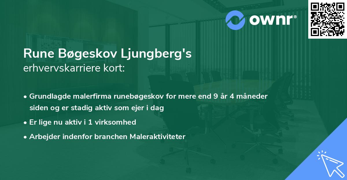 Rune Bøgeskov Ljungberg's erhvervskarriere kort