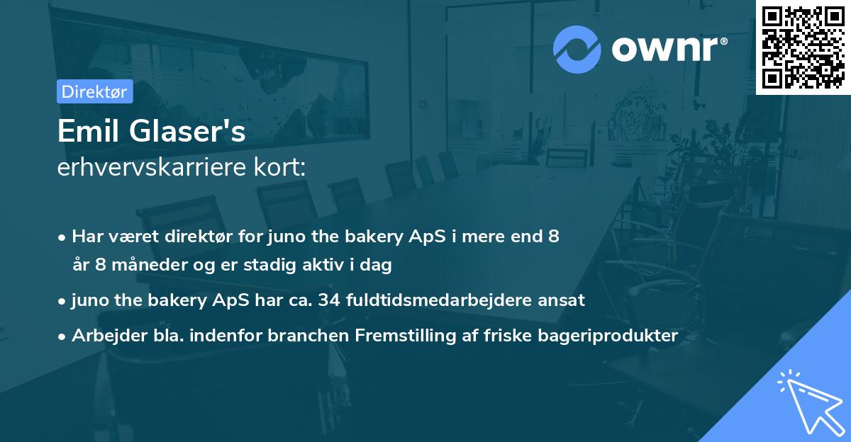 Emil Glaser's erhvervskarriere kort