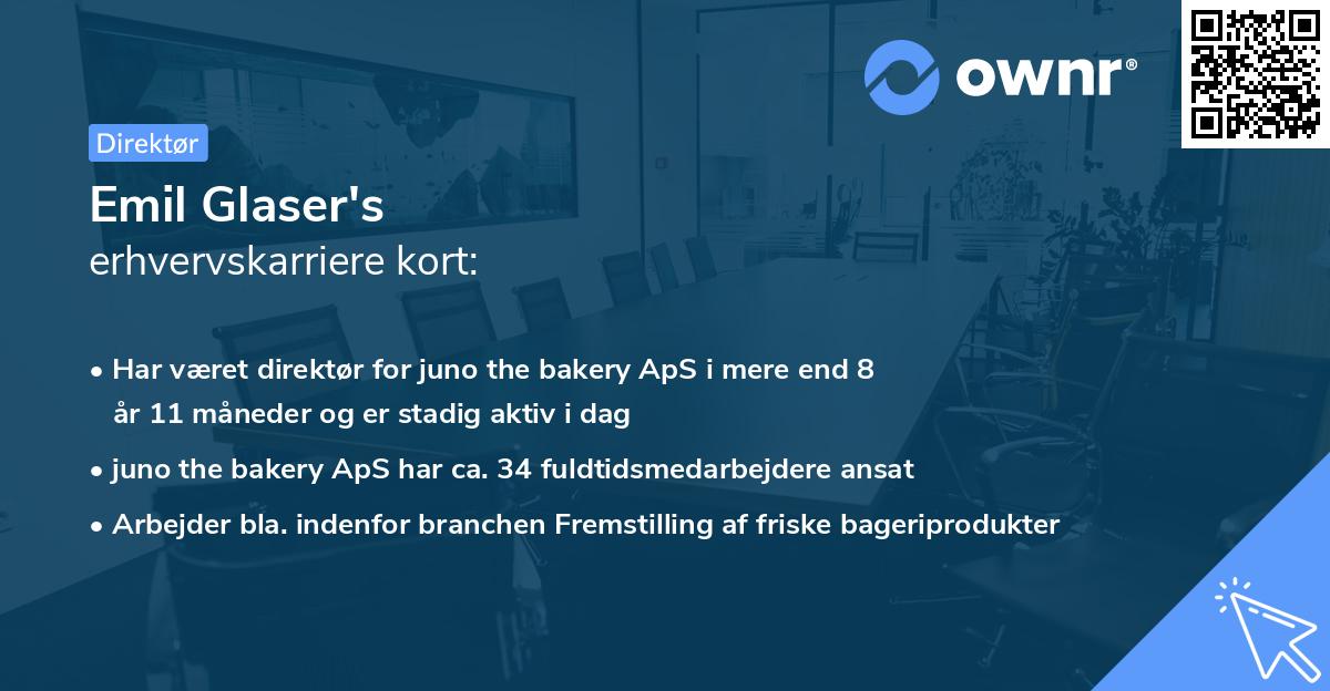 Emil Glaser's erhvervskarriere kort