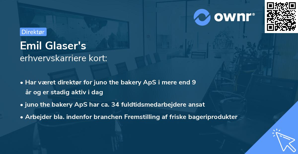 Emil Glaser's erhvervskarriere kort