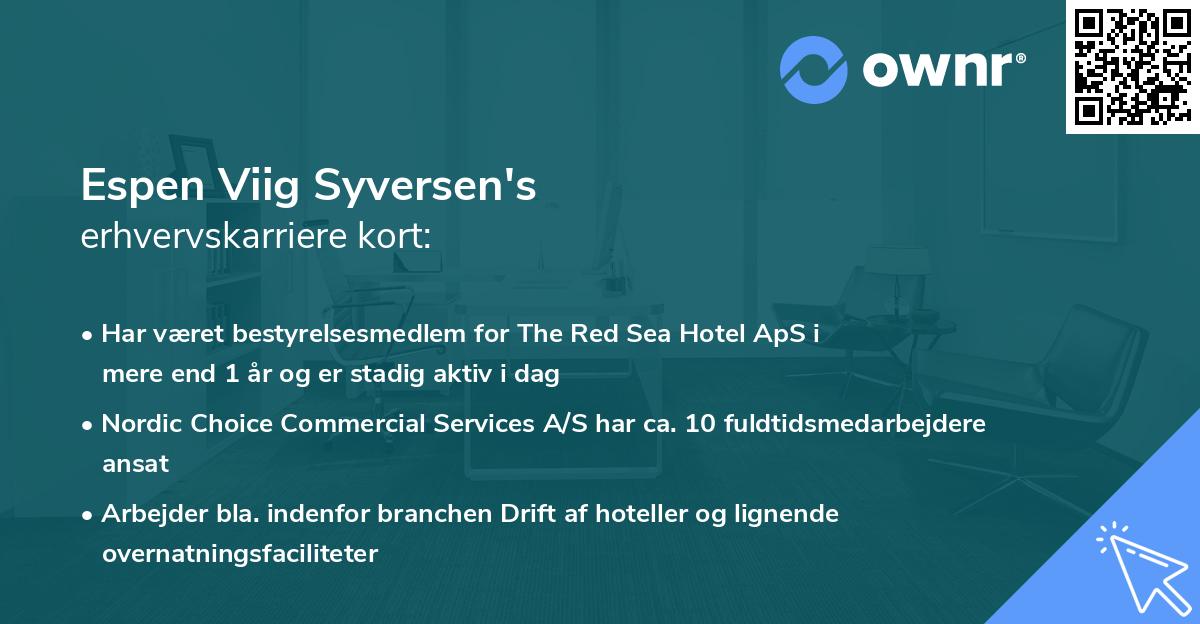 Espen Viig Syversen's erhvervskarriere kort