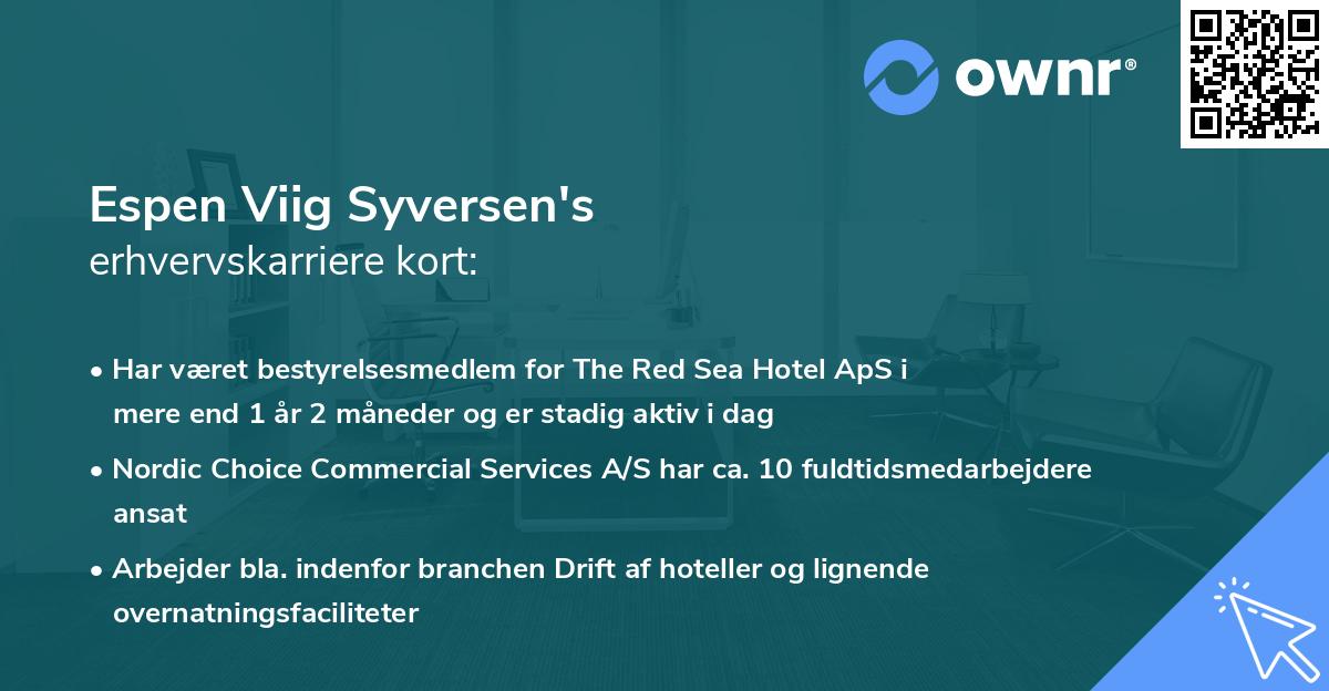 Espen Viig Syversen's erhvervskarriere kort