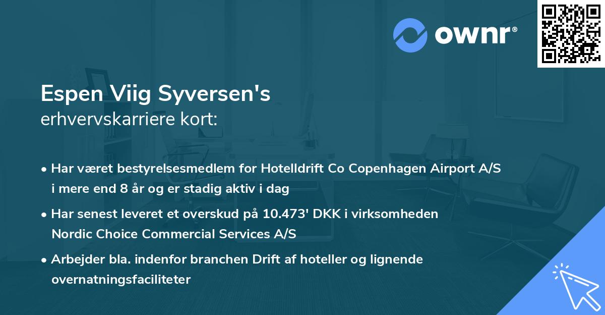 Espen Viig Syversen's erhvervskarriere kort