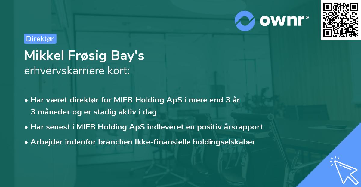 Mikkel Frøsig Bay's erhvervskarriere kort