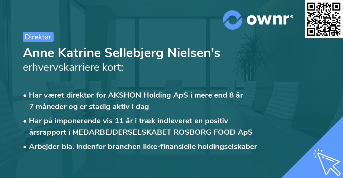 Anne Katrine Sellebjerg Nielsen's erhvervskarriere kort