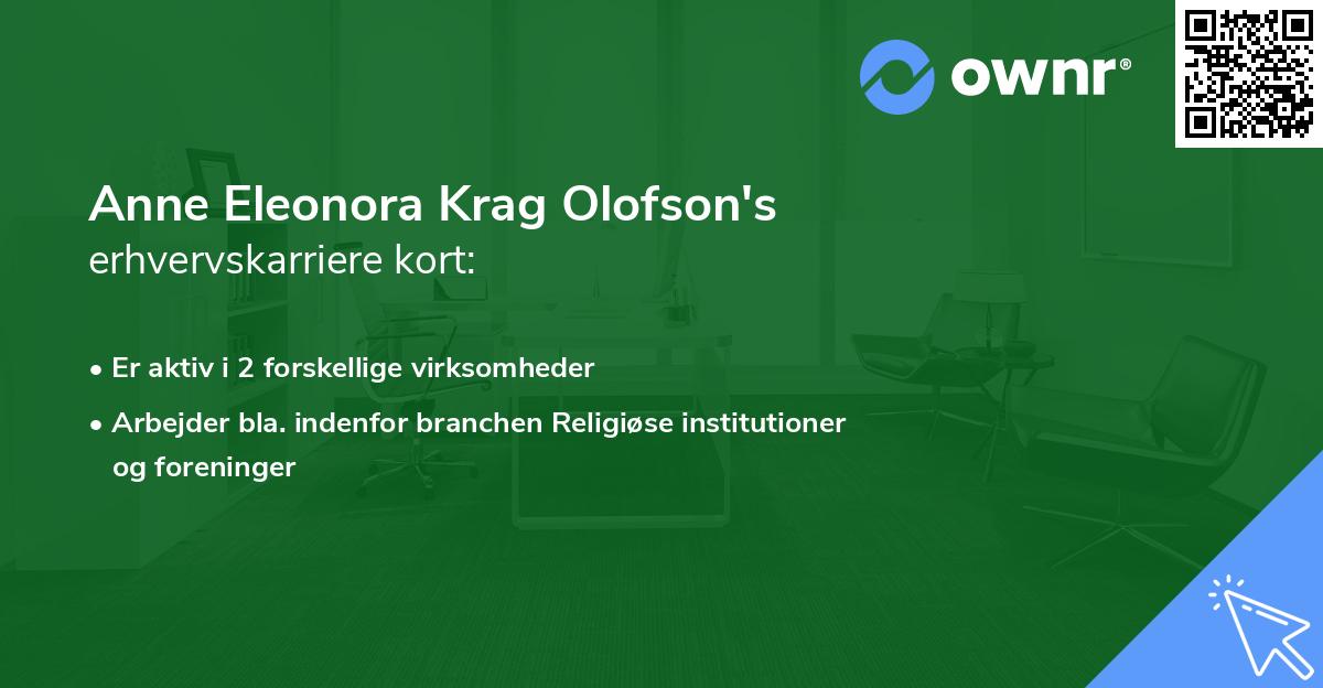 Anne Eleonora Krag Olofson's erhvervskarriere kort