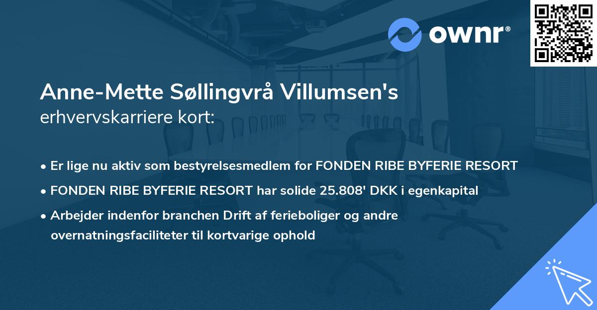 Anne-Mette Søllingvrå Villumsen's erhvervskarriere kort