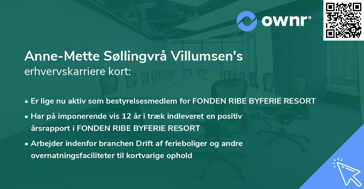 Anne-Mette Søllingvrå Villumsen's erhvervskarriere kort