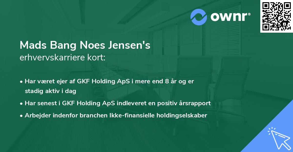 Mads Bang Noes Jensen's erhvervskarriere kort