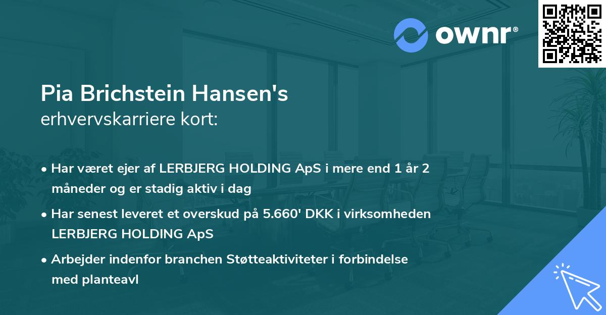 Pia Brichstein Hansen's erhvervskarriere kort